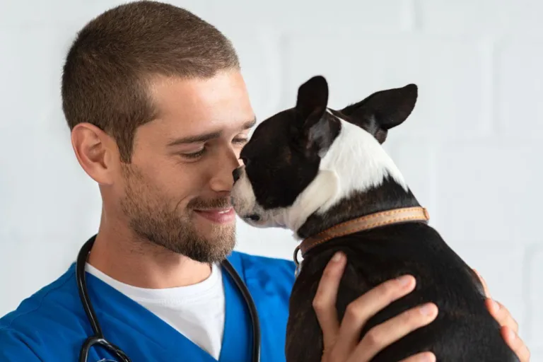 Jak zwierzęta wpływają na nasze zdrowie